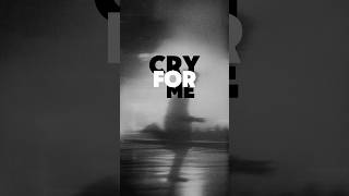 The Weeknd  Cry For Me Lyrics [upl. by Skelton601]