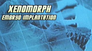 Xenomorph Embryo Implantation Process  Explained [upl. by Blithe374]