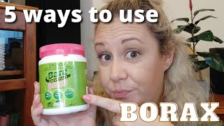 5 Ways to use BORAX  IS BORAX SAFE TO USE IN THE HOME [upl. by Sirromed]