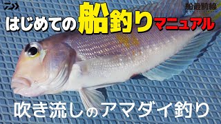 【アマダイ入門】はじめての船釣りマニュアル～吹き流しのアマダイ釣り～  船最前線 [upl. by Ongineb]