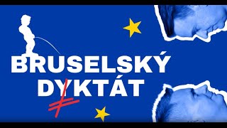 Jak uspět v Bruselu a prosadit svou Český byznys ani politici to pořád nepochopili Tady je návod [upl. by Ylus]