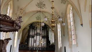 Piano Man by Organ  Van Oeckelen Orgel Sint Hippolytuskerk Middelstum [upl. by Aldred]