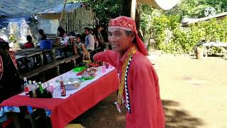 Datu Meg bulig of Higaonon Tagoloanon Explained tribal Culture part 1 [upl. by Nezam406]