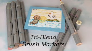 Spectrum Noir TriBlend BRUSH Markers Review and Card Tutorial [upl. by Elleraj]