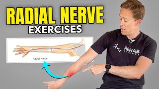 4 Exercises for Radial Nerve Pain [upl. by Esom]