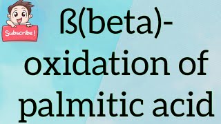 Beta oxidation of Palmitic acid [upl. by Alfonse]