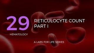 Reticulocyte Count Part I [upl. by Jolanta]