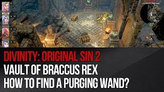 Divinity Original Sin 2  Vault of Braccus Rex [upl. by Einwahr]