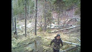 Trail Cam  Attempted Theft [upl. by Valentine31]