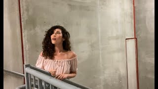 Singing quotHALLELUJAHquot in a Stairwell with EPIC acoustics [upl. by Wilmott925]