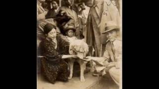 Life and Death of Hachi  Lost and very rare PHOTOS [upl. by Anuahsat]