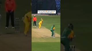 Brett Lees masterclass Accuracy 💥♥️🏏 cricket ytshortsindia brettlee fastbowling [upl. by Krystalle]