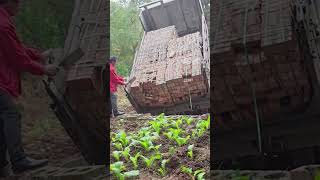 Clay fired brick unloading process [upl. by Enelec627]