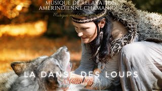 La danse des Loups Musique Chamanique Amérindienne avec Tambour et Chants de Lumières [upl. by Eelimaj730]