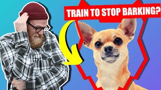 How To Stop Your CHIHUAHUA Barking [upl. by Lleksah862]