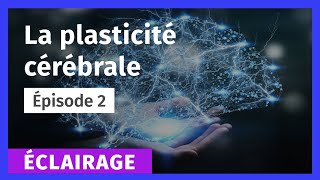 02La plasticité cérébrale [upl. by Kellsie]