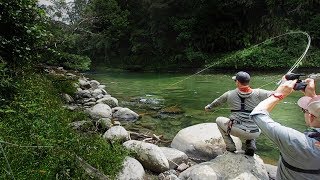 Fly Fishing at its BEST New Zealand [upl. by Yerak50]