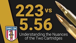 223 vs 556 Understanding the Nuances of the Two Cartridges [upl. by Sherfield]