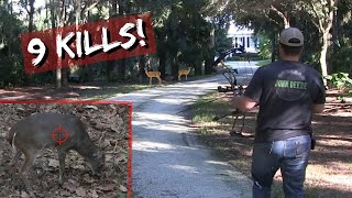 Deer Hunting the Neighborhood 9 Bow Kills Savannah [upl. by Zoltai243]