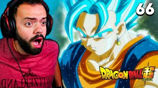 VEGITO BLUE  Dragon Ball Super Episode 66 Reaction [upl. by Enninaej890]