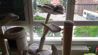 DIY Fixing Cat Tree [upl. by Ahtaela]