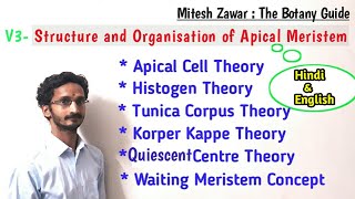 Structure and Organisation of Apical Meristem  Theories to explain Organisation of SAM amp RAM [upl. by Moscow668]