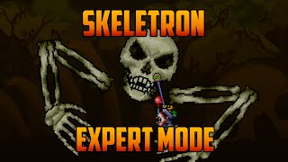 Terraria  Skeletron Expert Mode Yoyo Guide [upl. by Atiloj]