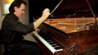 Waltz Op 64 No 2  CD Luciano Alves plays Chopin [upl. by Sonitnatsnoc473]