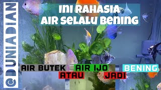 CARA AGAR AIR AQUARIUM BENING TERUS  Gak Butek Gak Ijo Lumutan [upl. by Eluj]