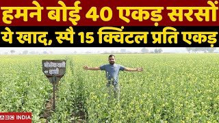 हमने बोई 40 एकड़ सरसों  Mustard farming  sarso ki kheti  mustard farming Full Detail  सरसों खेती [upl. by Yrrol]