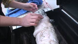 How We Cooked a Whole Roast Suckling Pig on a Gas Grill [upl. by Thordia]