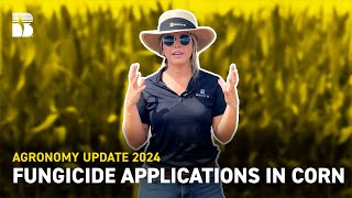 Fungicide Applications in Corn  Becks Agronomy Update [upl. by Yerdua]