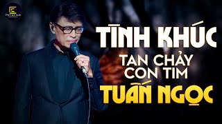 TUẤN NGỌC  BẢN TÌNH CA BẤT HỦ HAY NHẤT  HOA VÀNG MẤY ĐỘ NIỆM KHÚC CUỐI TỪ GIỌNG HÁT EM [upl. by Sucramed229]