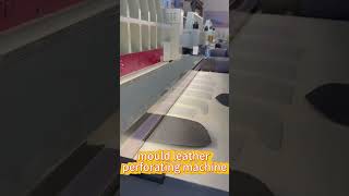 anze mould leather perforating machine [upl. by Kcirdla536]