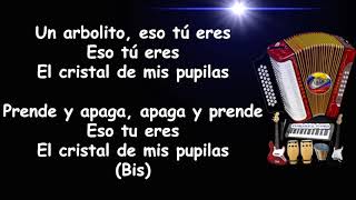 Cristal De Mis Pupilas  Los Betos  Letra  Andres Pino Music [upl. by Bashemath]