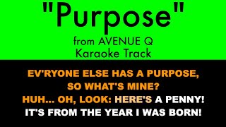 quotPurposequot from Avenue Q  Karaoke Track with Lyrics on Screen [upl. by Neyugn769]