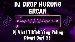 DJ DROP HURUNG ERCAN SLOWED  REVERB  DROP HURUNG ERCAN VIRAL TIKTOK YANG KALIAN CARI [upl. by Gustin]