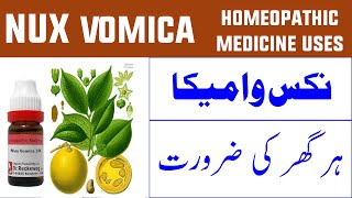 Nux Vomica Homeopathic Medicine  Uses Dosage And Symptoms in Urdu [upl. by Yorztif]