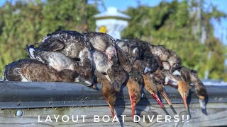 Layout Boat Diver Hunting Beat Down Michigan Hunting 2019 [upl. by Rainer478]