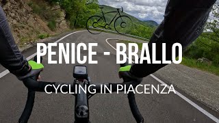 Monte Penice  Brallo  Marsaglia  Cycling In Italy Piacenza [upl. by Helyn427]