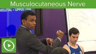 Musculocutaneous Nerve Definition amp Overview – MRCS  Lecturio [upl. by Wye]