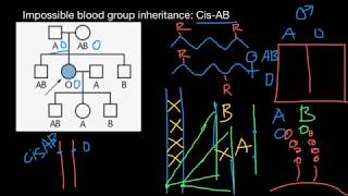 Impossible blood groups inheritance CisAB explained [upl. by Kaz796]