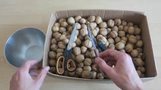 How to open walnuts  the easy way [upl. by Nospmas]