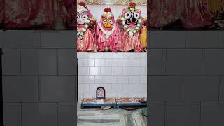 Bhikari Bal bhajanjay jagannath 🛐🫀🙏🏻🚩⭕‼️⭕🙏🏻maa tarini creations 🙏🏻 [upl. by Frangos]