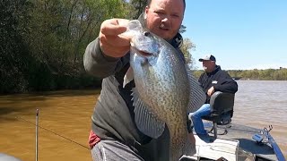 Catch 10x More Crappie With These KEY Tips Crappie Fishing Secrets [upl. by Linehan598]