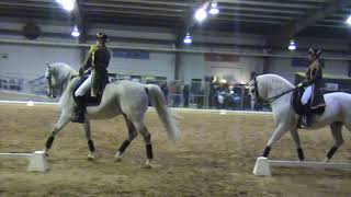 World Famous Lipizzaner Stallion Show [upl. by Nylirret102]