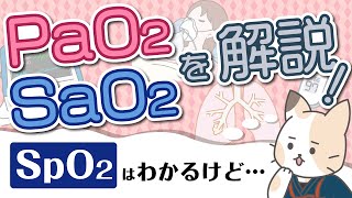 【血ガス】PaO2、SaO2、SpO2を解説！酸素分圧、酸素飽和度について [upl. by Eldreeda911]