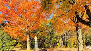 MRS G ADVENTURES🇺🇸 is live Saturday Autumn View🍁🍁🍁 [upl. by Nnylhsa722]