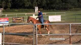 Cantering Gaited Horses [upl. by Vernor]