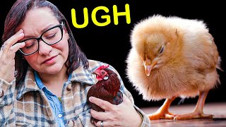 What I Wish I Knew BEFORE Getting Backyard Chickens [upl. by Abocaj251]